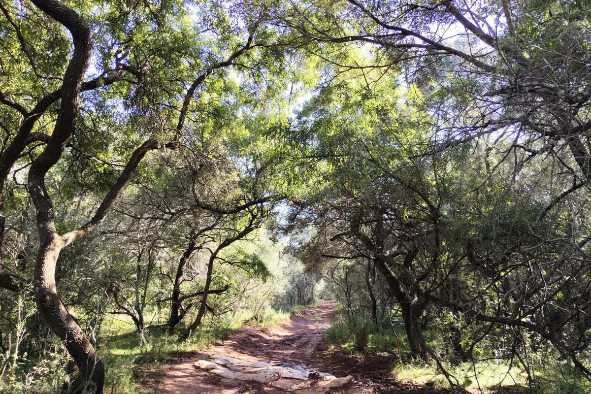 Versatile farmer's dream farm - Photo 3