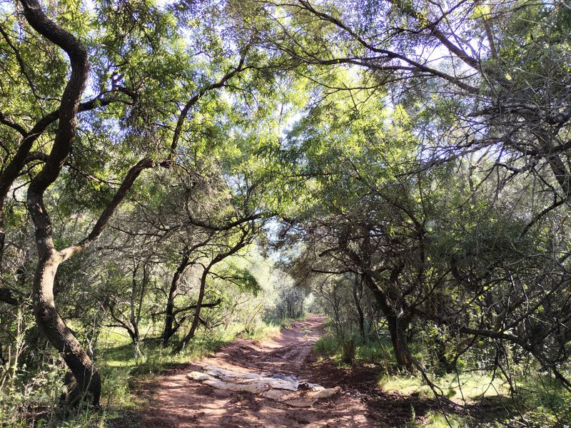 Versatile farmer's dream farm - Photo 3