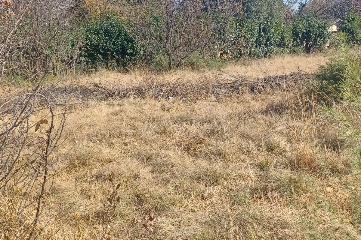 Vacant Land For Sale - Photo 4