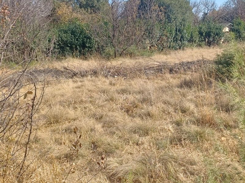 Vacant Land For Sale - Photo 4