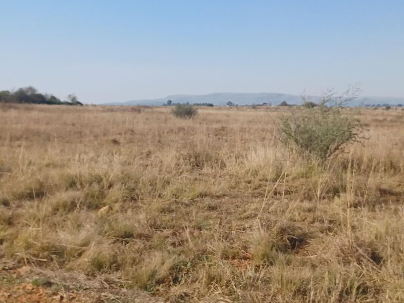 Vacant Land For Sale - Photo 9