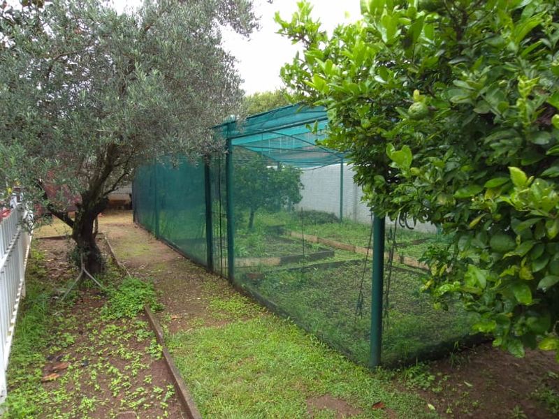 Spectacular Home in Dalcrest searching for a new family - Photo 6