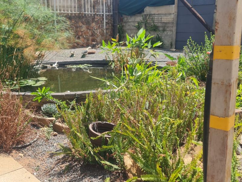 A backyard garden area featuring a small pond, stone retaining wall, and paved patio space, requiring some maintenance and landscaping.