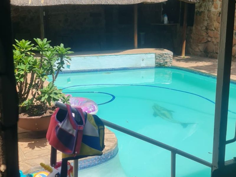 Outdoor pool area featuring a swimming pool, a traditional thatched lapa, and paved patio space, surrounded by established garden greenery.
