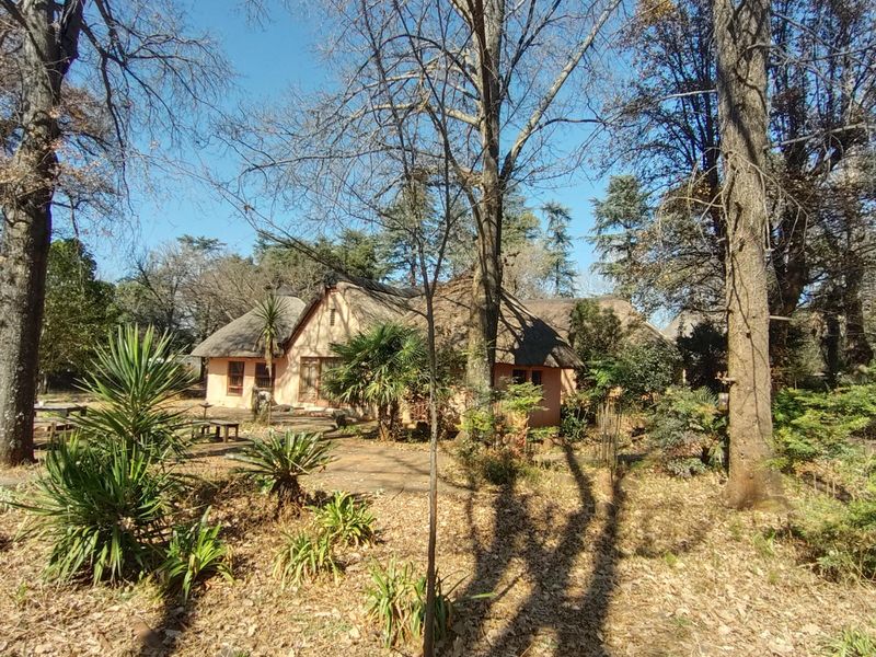 Charming farm for sale with endless possibilities - Photo 1