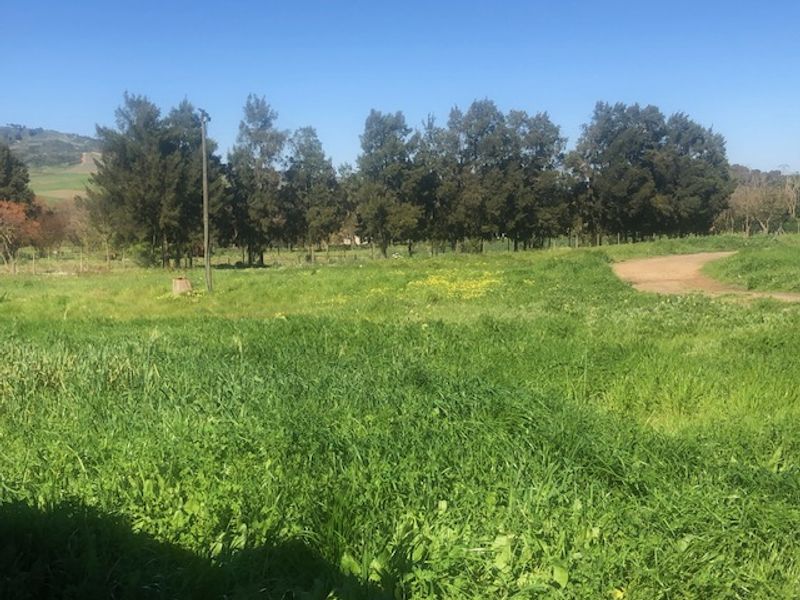 A RARE CANVASS ON THE DOORSTEP OF NATURE - Photo 7