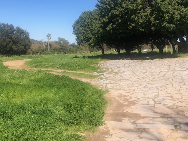 A RARE CANVASS ON THE DOORSTEP OF NATURE - Photo 8