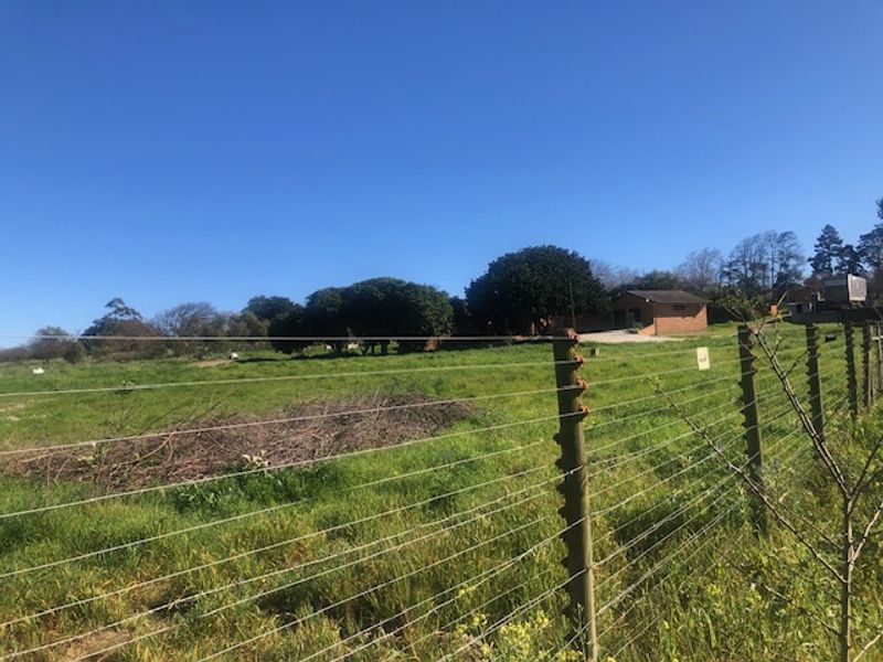 A RARE CANVASS ON THE DOORSTEP OF NATURE - Photo 3