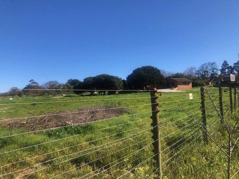 A RARE CANVASS ON THE DOORSTEP OF NATURE - Photo 4