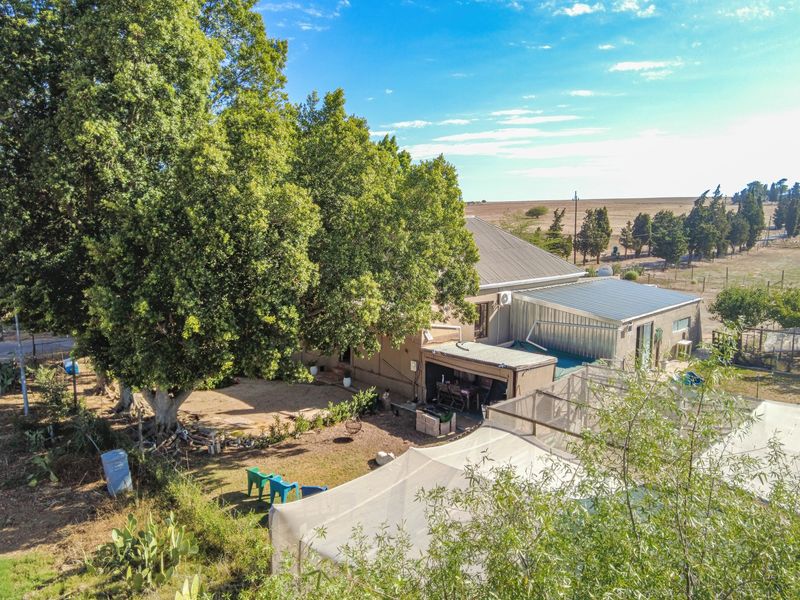 Modern Country Living with added potential Flatlet - Photo 7