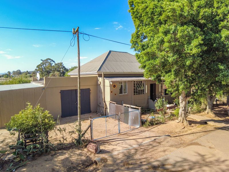 Modern Country Living with added potential Flatlet - Photo 6