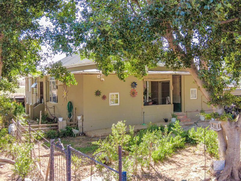 Modern Country Living with added potential Flatlet - Photo 2