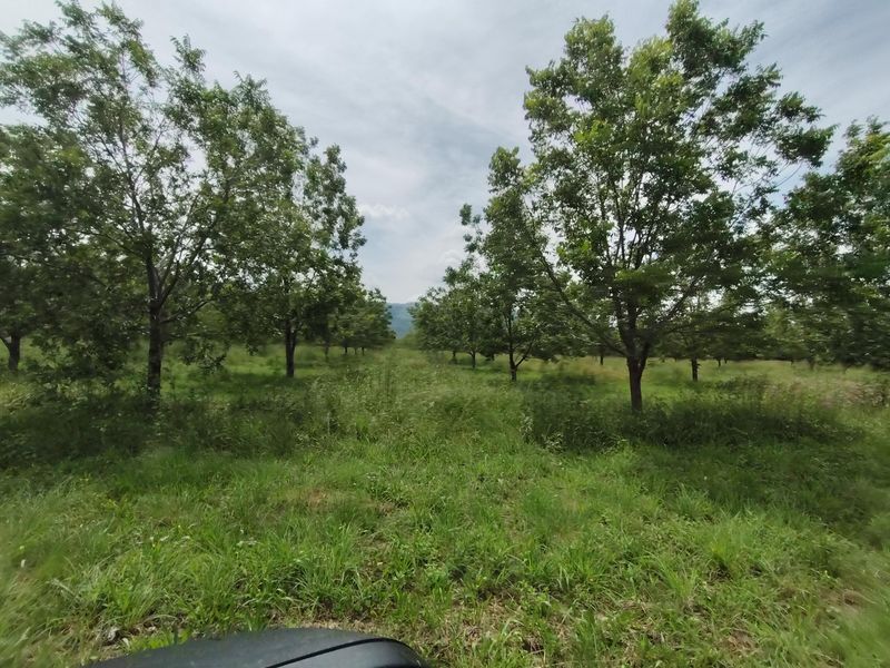 Farm For Sale In Krugersdorp - Photo 4