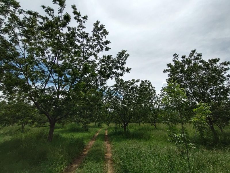 Farm For Sale In Krugersdorp - Photo 2