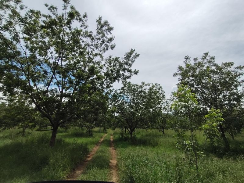 Farm For Sale In Krugersdorp - Photo 3