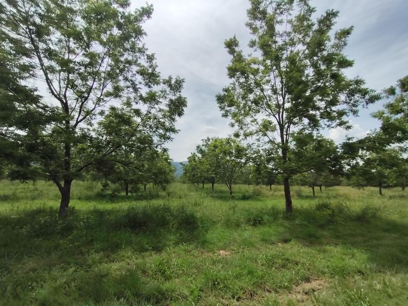 Farm For Sale In Krugersdorp - Photo 5