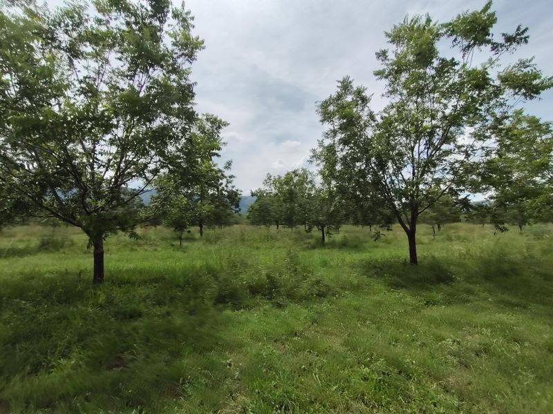 Farm For Sale In Krugersdorp - Photo 10