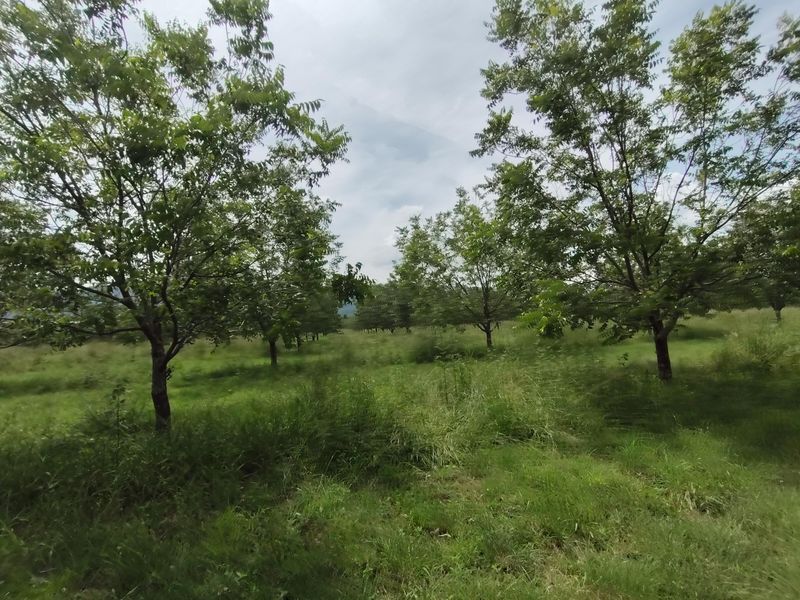 Farm For Sale In Krugersdorp - Photo 9