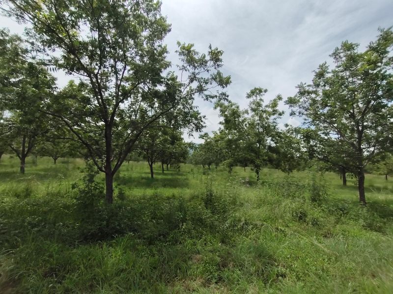 Farm For Sale In Krugersdorp - Photo 7