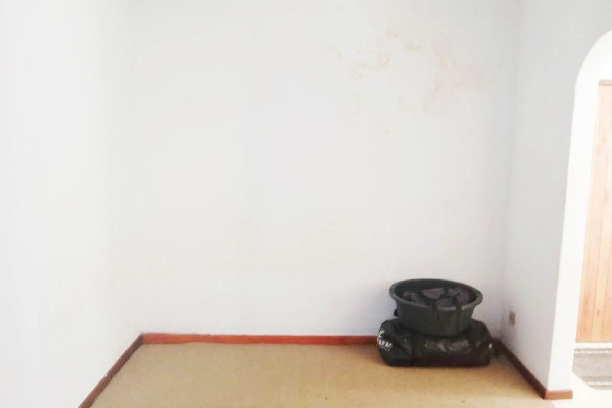 An empty bedroom featuring carpet flooring, timber skirting boards, and an arched doorway, showing signs of wall staining and wear.