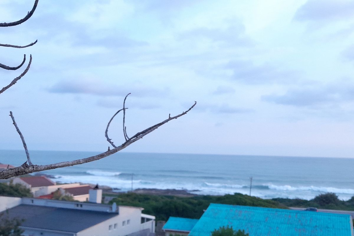 A scenic elevated view overlooking the ocean and surrounding coastal residential neighborhood.