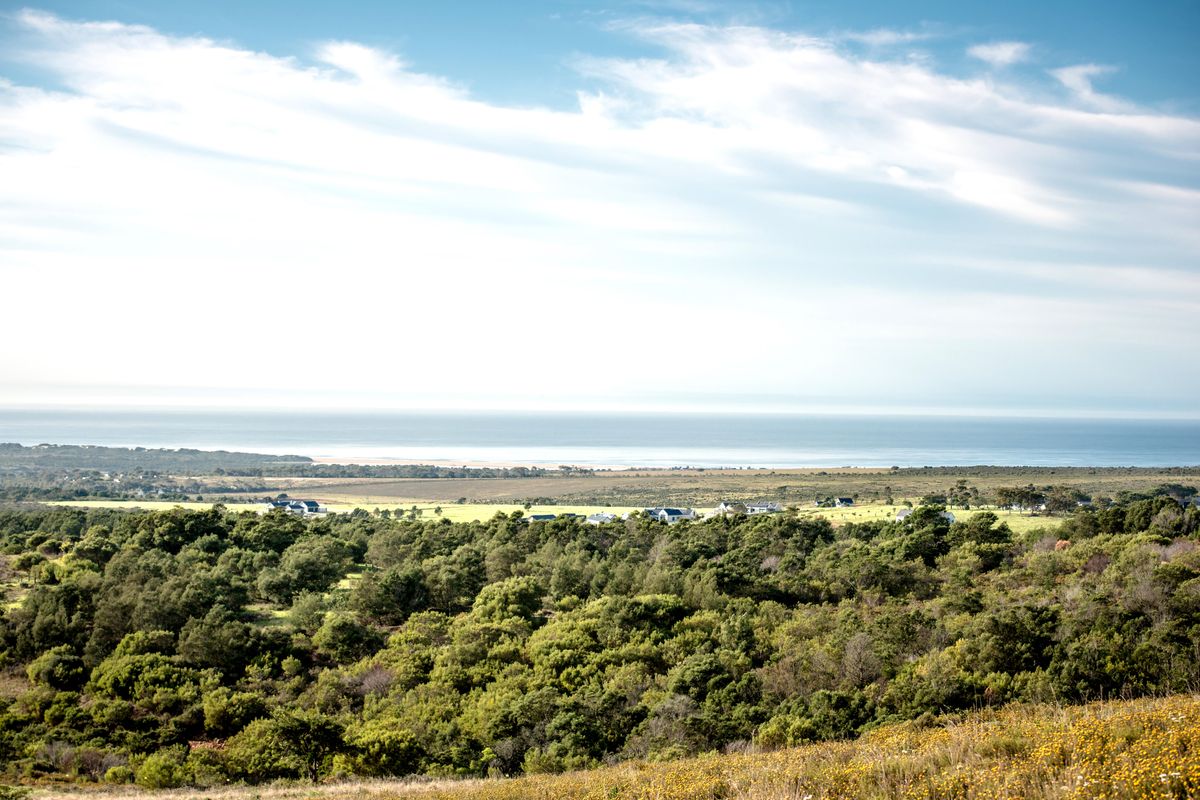 A scenic elevated view overlooking native coastal vegetation, open fields, and the distant ocean horizon.