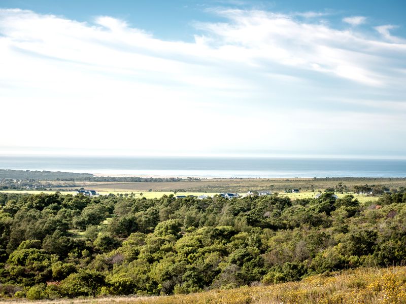 A scenic elevated view overlooking native coastal vegetation, open fields, and the distant ocean horizon.