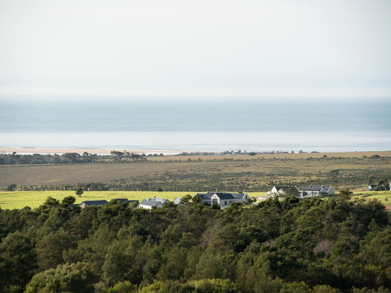 A scenic elevated view overlooking the coastal landscape, natural vegetation, and distant ocean horizon.