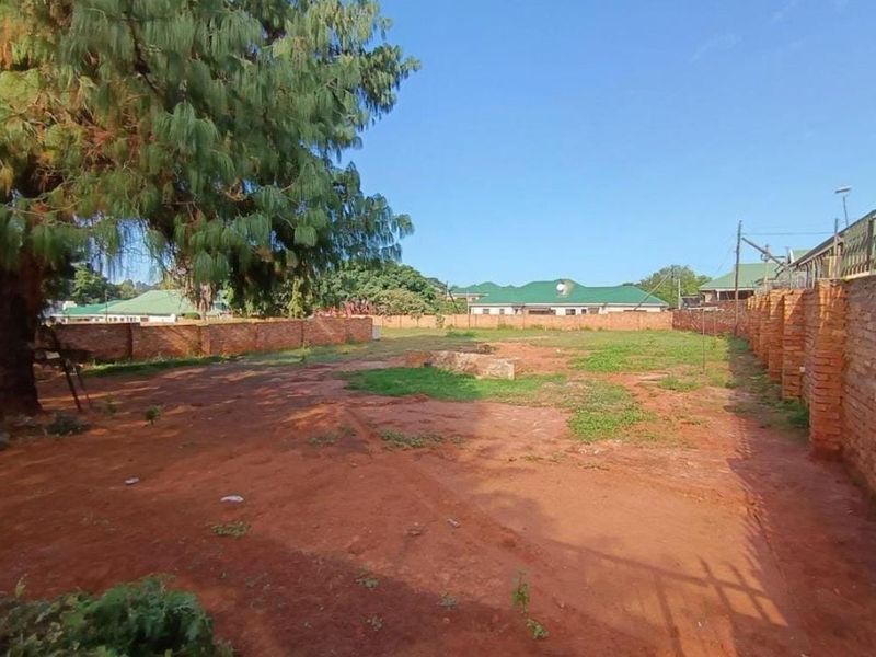 A vacant residential plot featuring a mature tree and enclosed by brick boundary walls, offering a clear space for future development.