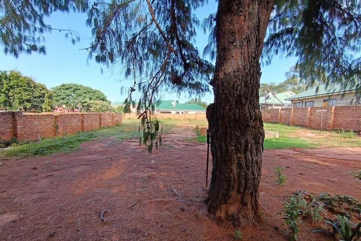 A spacious vacant residential plot featuring a mature tree and enclosed by brick boundary walls.