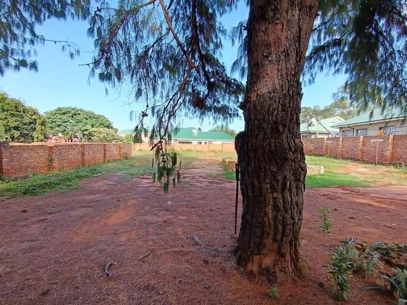 A spacious vacant residential plot featuring a mature tree and enclosed by brick boundary walls.