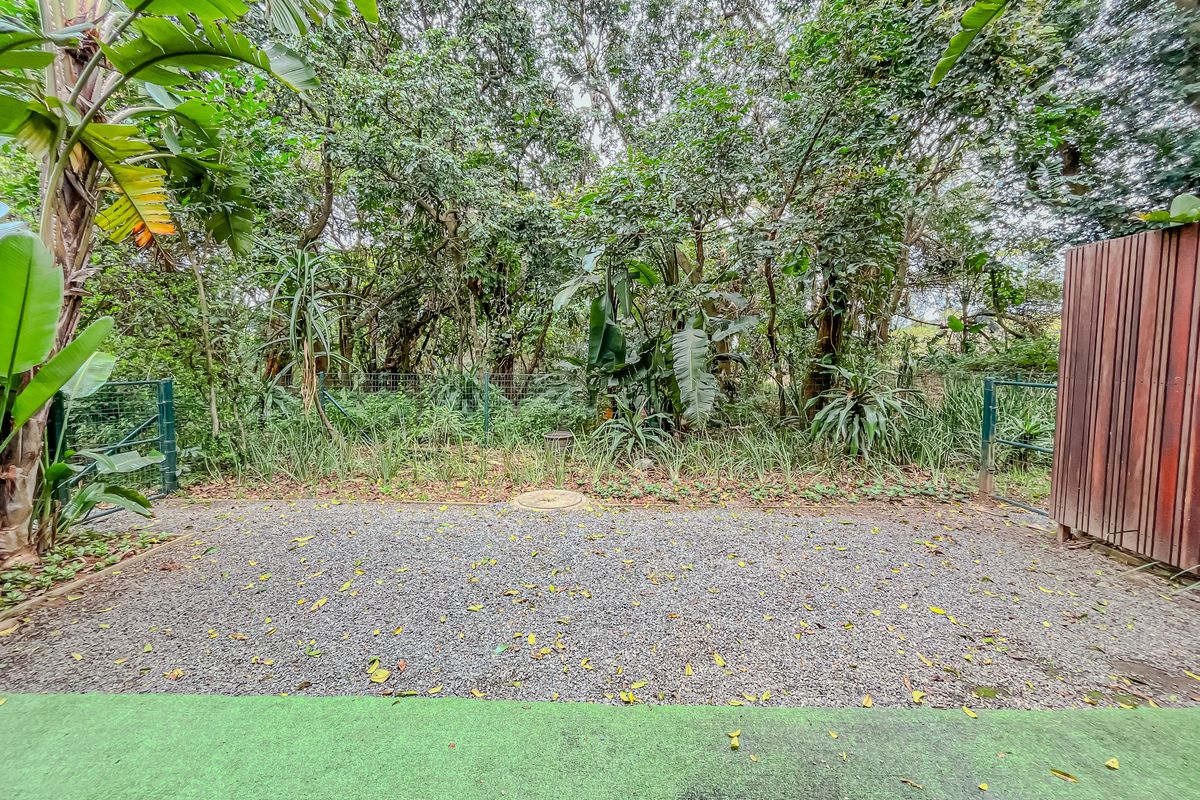 A rear outdoor area featuring a gravel ground surface, wire mesh fencing, and a timber privacy screen, bordered by dense natural vegetation.