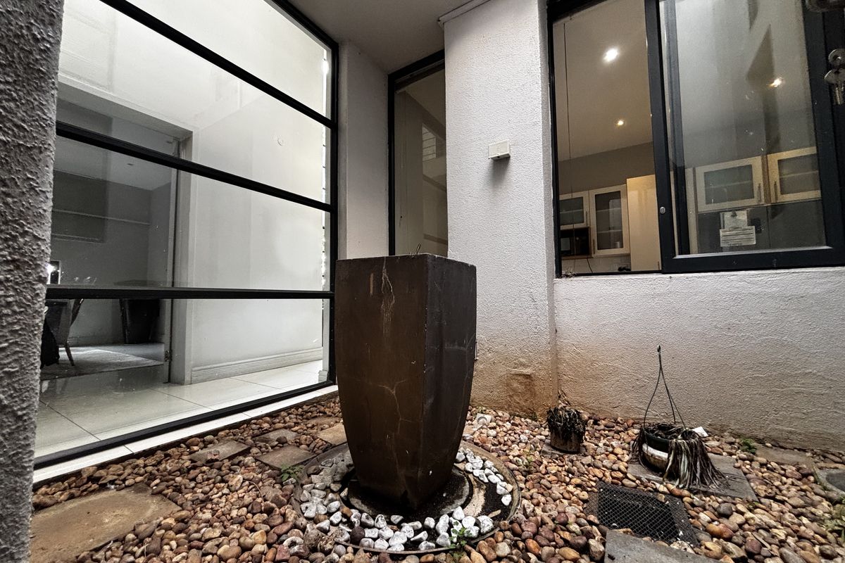 A small enclosed courtyard featuring a central water feature, pebble landscaping, and large aluminium-framed windows looking into the interior living spaces.