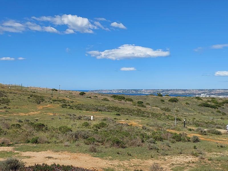 A scenic view of the vacant residential land featuring natural coastal vegetation, rolling terrain, and distant ocean views.