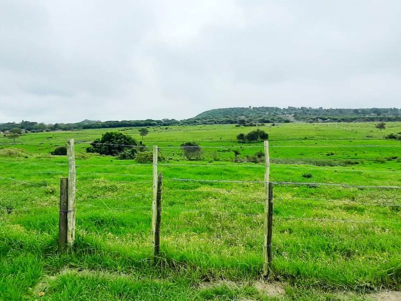 Expansive rural landscape view featuring green pasture land enclosed by wire fencing and wooden posts.