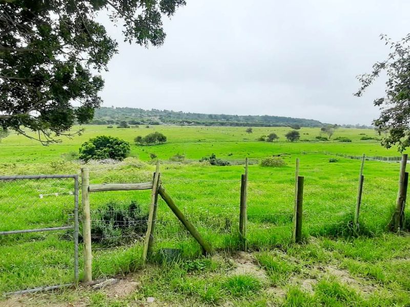 A scenic view of open green pasture land enclosed by wire mesh fencing and timber posts.