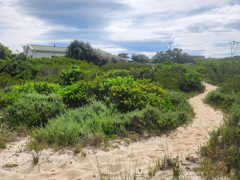 A natural sandy pathway winding through indigenous coastal vegetation on a vacant residential plot.