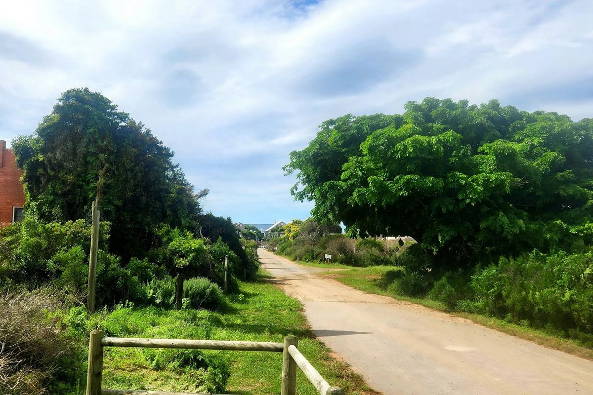 A view of an unpaved access road flanked by mature trees and natural vegetation, leading towards residential properties in the distance.
