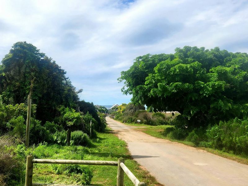 A view of an unpaved access road flanked by mature trees and natural vegetation, leading towards residential properties in the distance.