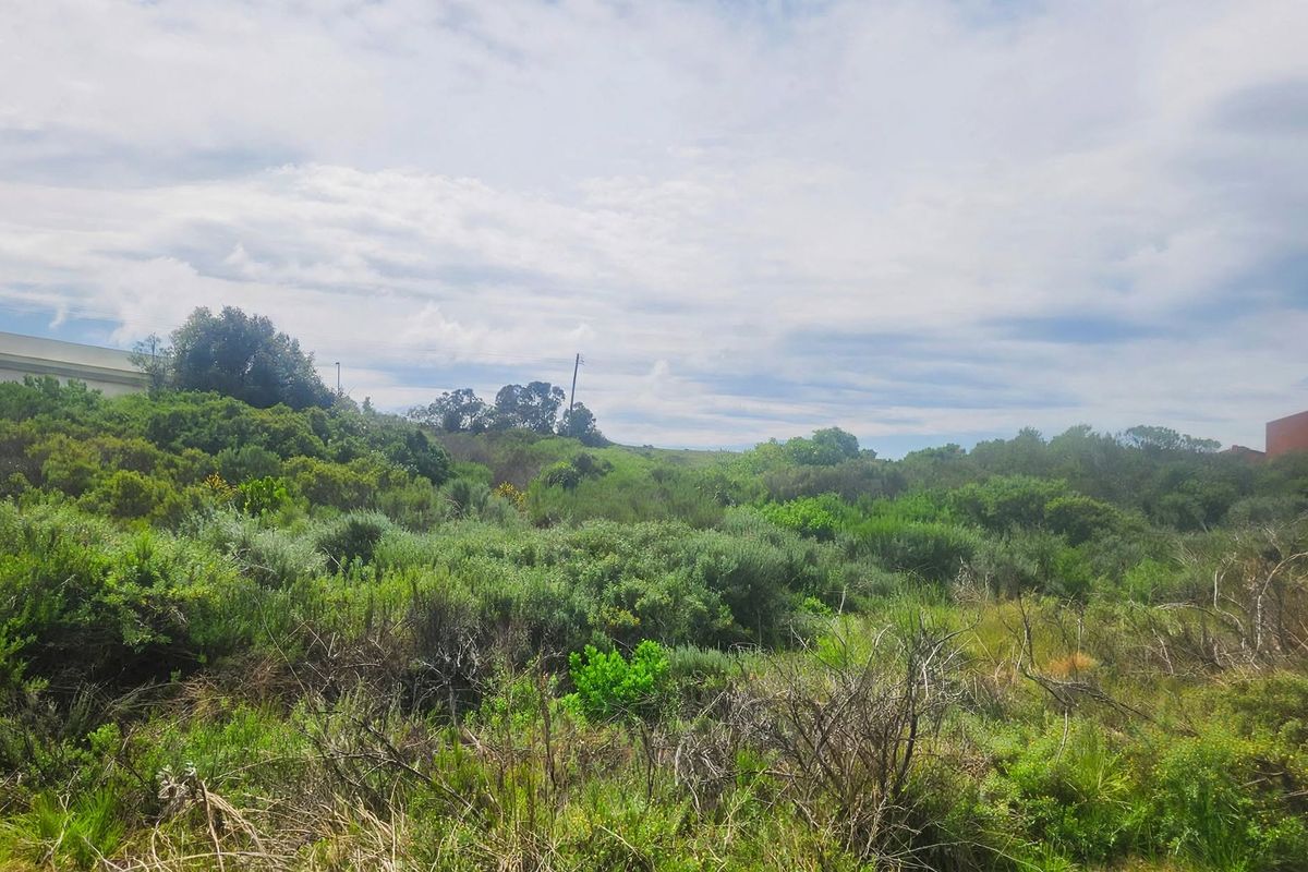 A view of the vacant residential land featuring natural vegetation and sloped terrain, suitable for future development.