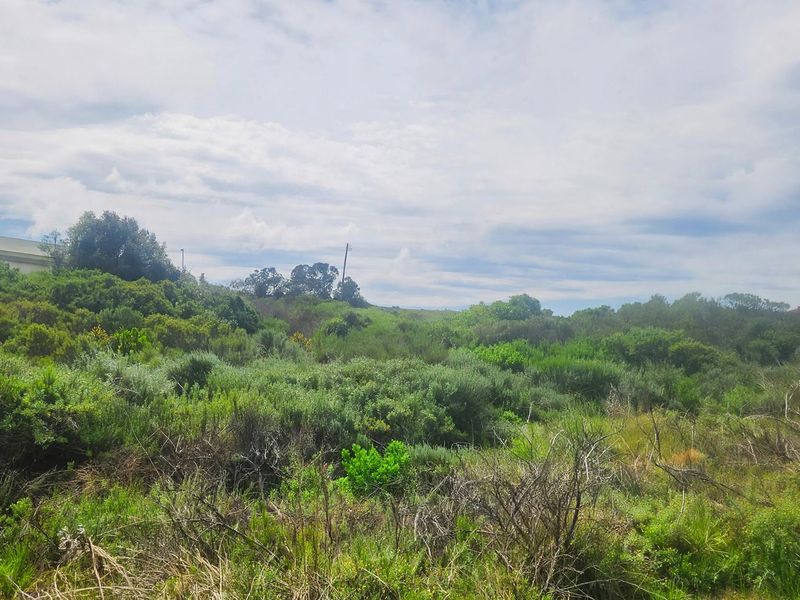 A view of the vacant residential land featuring natural vegetation and sloped terrain, suitable for future development.