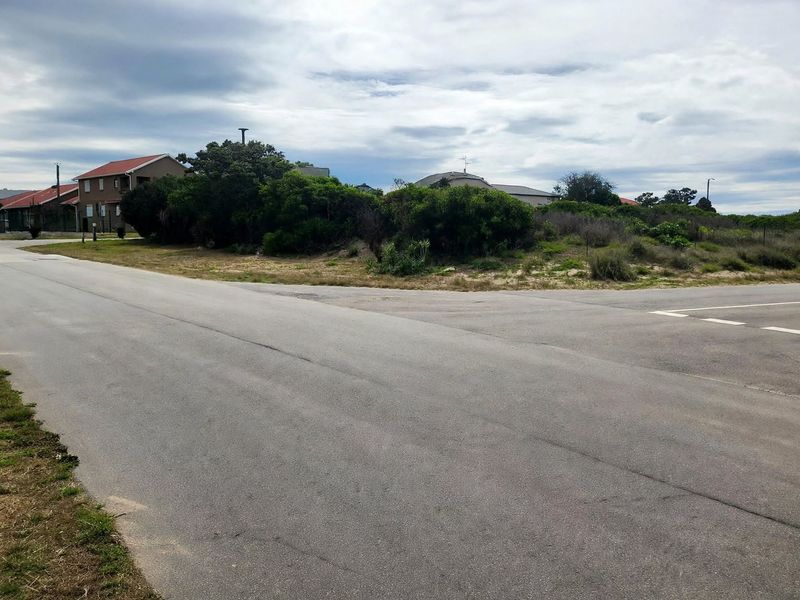 A street-level view of a vacant residential corner plot featuring natural vegetation and access to paved roads in a developed neighborhood.