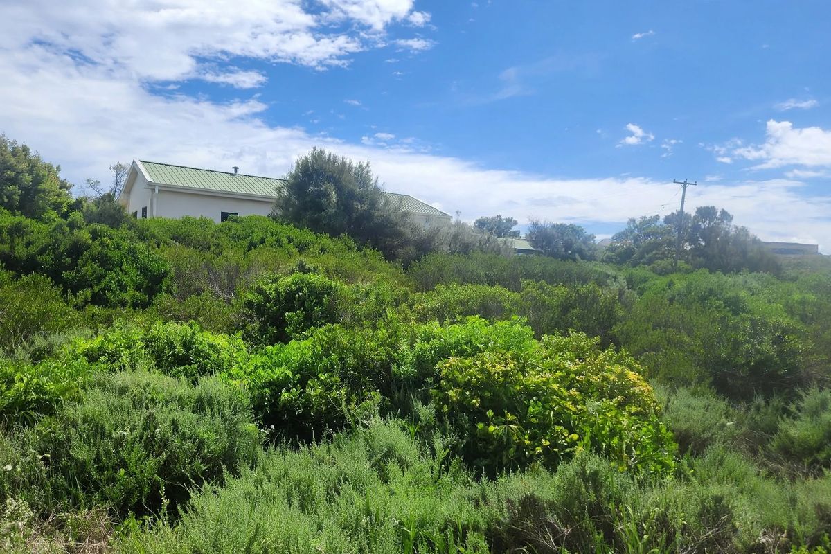 A view of a sloped residential plot covered in dense indigenous vegetation with a portion of a neighboring house visible in the background.