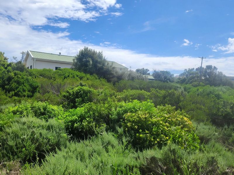 A view of a sloped residential plot covered in dense indigenous vegetation with a portion of a neighboring house visible in the background.