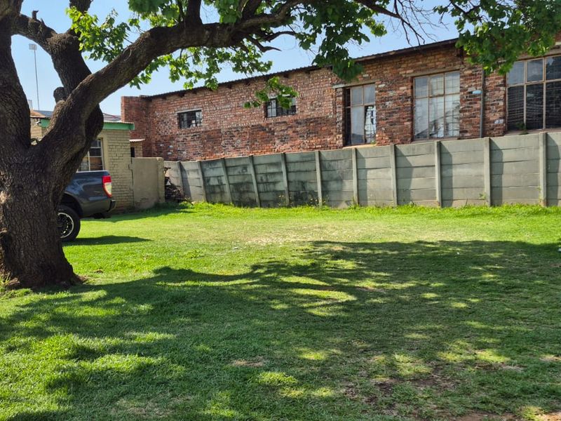 A spacious backyard area featuring a large mature tree, a well-maintained lawn, and a precast concrete boundary wall.