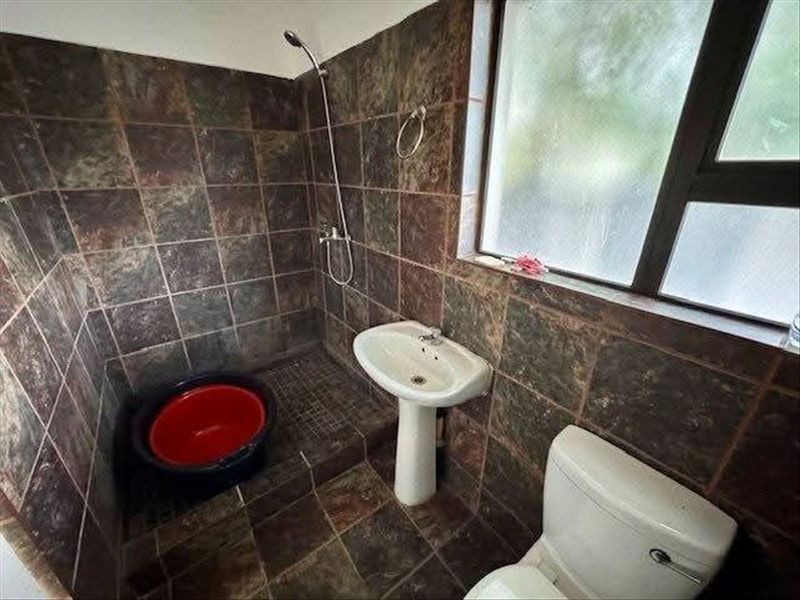 A compact bathroom featuring a pedestal basin, toilet, and shower area with dark stone-look wall and floor tiles.