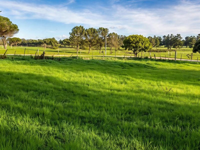 A scenic view of a lush green vacant residential plot featuring mature trees and wire perimeter fencing.