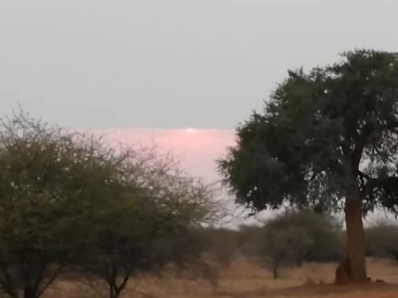 A scenic view of the farm landscape at sunset, featuring native trees and open fields.