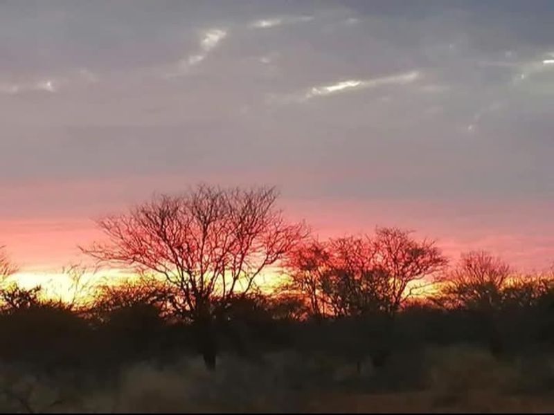 A scenic view of the farm landscape at sunset, showcasing the natural beauty and open space of the property.