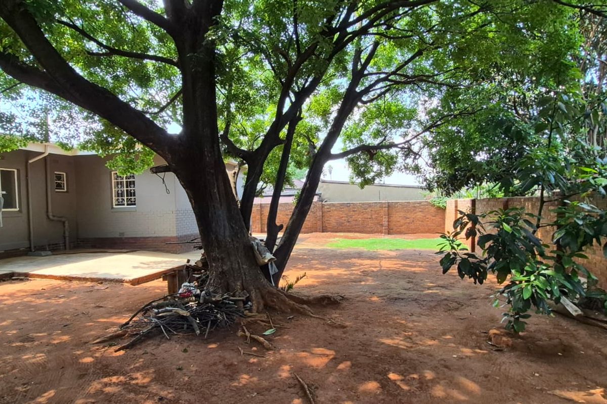 A spacious rear garden featuring a large mature tree, a concrete patio area, and brick boundary walls, offering potential for landscaping and outdoor living.